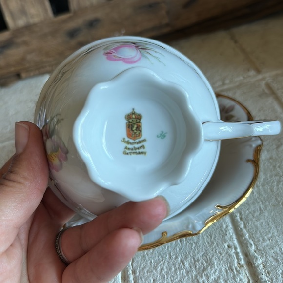 Bavaria Schumann Arzberg Wild Rose Teacup & Saucer - Picture 5 of 7